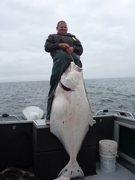 Alaska Halibut Fishing Charters, Angle for Monster…